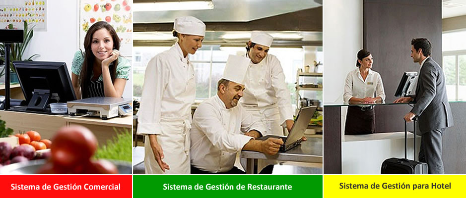 sistemas-de-gestion